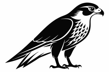 Obraz premium falcon silhouette black and white on white background