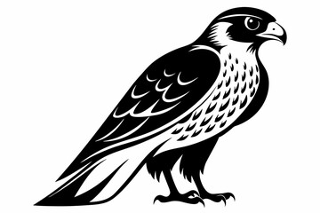 Obraz premium falcon silhouette black and white on white background