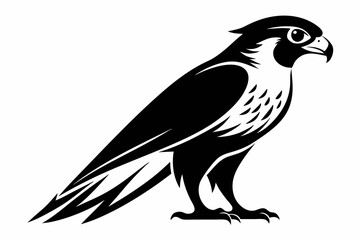 Obraz premium falcon silhouette black and white on white background