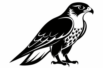 Obraz premium falcon silhouette black and white on white background