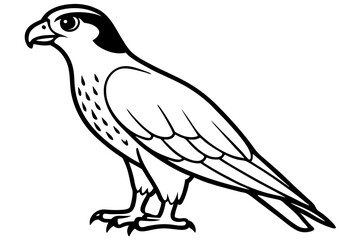 Obraz premium hawk black and white on white background