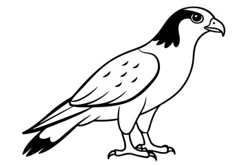 Obraz premium hawk black and white on white background