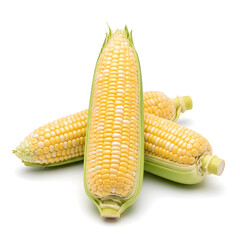 Fresh Corn on the Cob Isolated on White Background