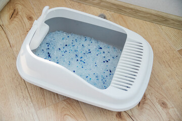 A container filled with cat litter. Cat toilet in the apartment, comfort for a pet.