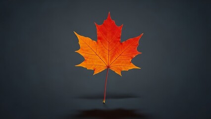 Red and orange maple leaf on a dark background, symbolizing autumn.