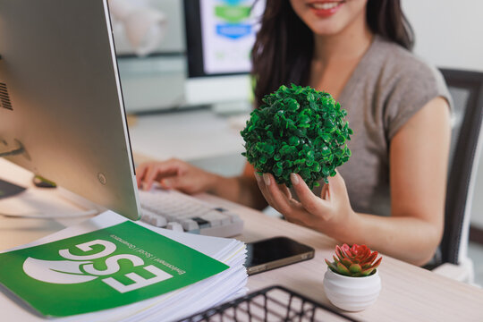 Person holding artificial plant ball working on esg report