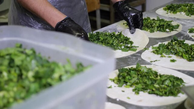 Close-up of a chef wearing gloves preparing tortillas with parsley, coriander, dill and spinach in the restaurant kitchen. Traditional flatbreads with herbs, kutabs, gozleme.