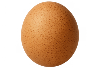 Brown chicken egg, a common healthy food item, providing protein for breakfast, cooking, and baking on transparent background