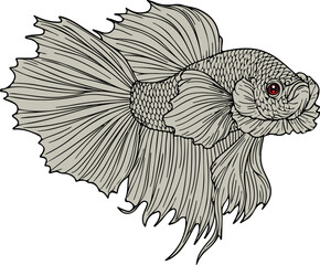 Fototapeta premium Elegant Betta Fish Illustration with Flowing Fins and Red Eye