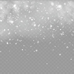 Realistic Falling White Snow Overlay Texture on Transparent Background. Vector