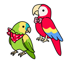 Colorful pair of parrots standing together.