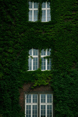 window in a brick wall