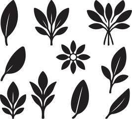 Sage Herb Silhouette Icon Set.eps