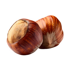 Delicious Hazelnuts Closeup: Two Brown Nuts Isolated