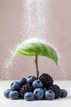 Fresh Berries Shielded from Sugar Rain by Green Leaf Umbrella