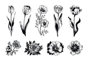Collection of black and white handdrawn botanical floral elements featuring tulips and other flowers and leaves for springtime and nature themes