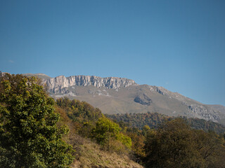 Rocky Mountain with Autumn Forest in the Foreground Scenic Landscape