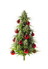 A green cannabis plant shaped like a christmas tree with red ornaments on a transparent background with copy space. Unconventional holiday humor concept