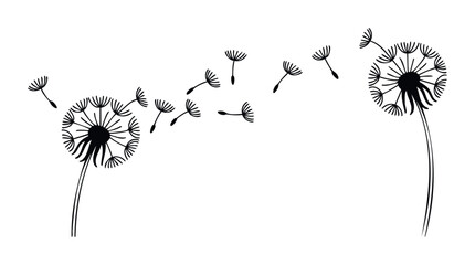 Black dandelion silhouette with seeds blowing in wind, representing natures cycle and new beginnings, suitable for spring themes and inspirational messages