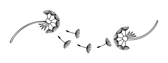 Dandelion seeds floating in the wind symbolizing wishes and new beginnings perfect for spring or life transition themes in your next project.