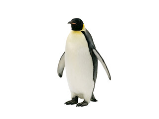 Fototapeta premium A realistic penguin standing upright with a sleek body and distinctive black and white coloring