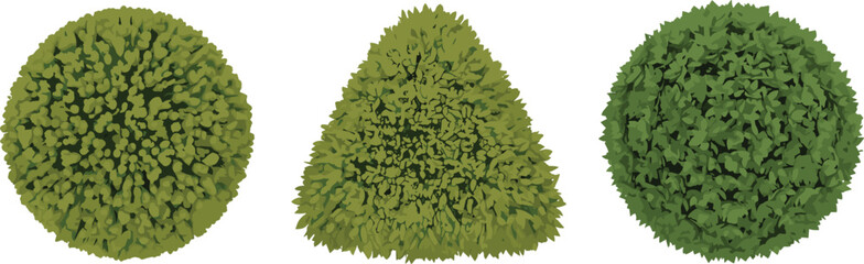 Top down view of garden bushes, green shrub foliage, detailed landscape plant icons, organic texture vector