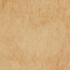 Old Paper texture. vintage paper background or texture; brown paper texture