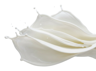Dynamic Splash of White Milk in Motion. isolated on transparent background