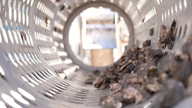 Close up inside an oyster sorting machine as it sorts Sydney Rock Oysters by size, New South Wales, Australia