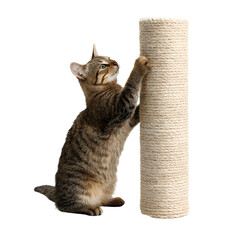 Premium Sisal Rope Cat Scratching Post with Plush Fabric for Feline Enthusiasts