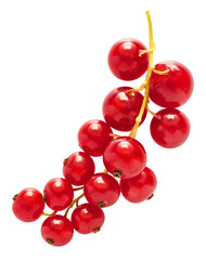 Fresh Ripe Red Currant berries falling in the air isolated on white background
