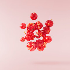 Fresh Ripe Red Currant berries falling in the air isolated on pink background