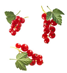 Fresh Ripe Red Currant berries falling in the air isolated on white background