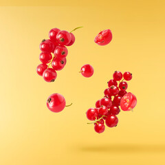 Fresh Ripe Red Currant berries falling in the air isolated on yellow background