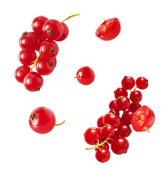 Fresh Ripe Red Currant berries falling in the air isolated on white background