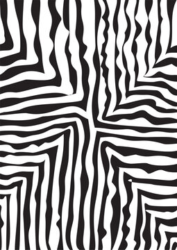 zebra pattern background for textille or print goods