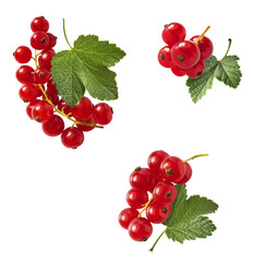 Fresh green rosemary herb falling in the air isolates on yellow background