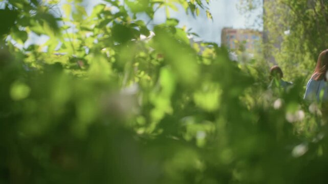 couple explores outdoors, twosome wanders peacefully alongside tall grass and distant cityscape, duo of people stroll calmly through meadow sophisticated with soft light and gentle breezes