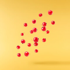 Fresh Ripe Red Currant berries falling in the air isolated on yellow background