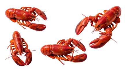 Five red lobsters arranged in a circular pattern transparent background cutout png