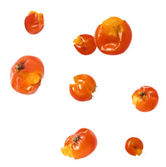 Fresh ripe ashberry falling in the air isolated on white background