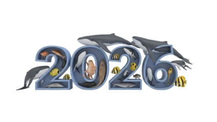 Creative typographic design of 2026 featuring a vibrant ecosystem of ocean animals, including whales, dolphins, and tropical fish, on a white background