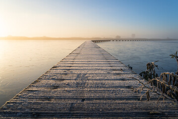 Naklejka premium Hoarfrost on a jetty (Knuppelpad) in nature reserve Roegwold during a cold, autumn sunrise.