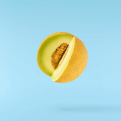 Fresh ripe Galia Melon falling in the air isolated on blue background