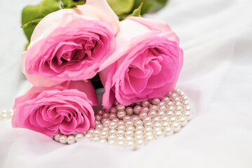 The branch of pink rose on white fabric background
