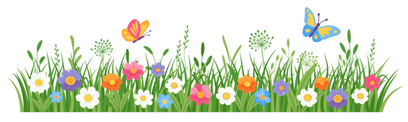 Spring meadow flower and grass. Floral border with grass and hand drawn blooming flowers