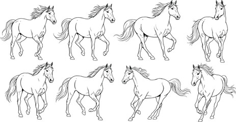 Detailed running horse illustration set showing various dynamic poses, outline drawing, equine motion study, wild horse sketch collection for design