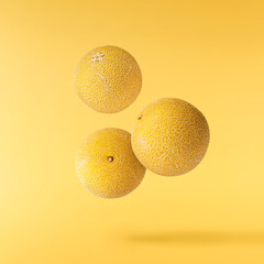 Fresh ripe Galia Melon falling in the air isolated on yellow background