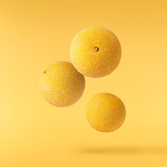 Fresh ripe Galia Melon falling in the air isolated on yellow background