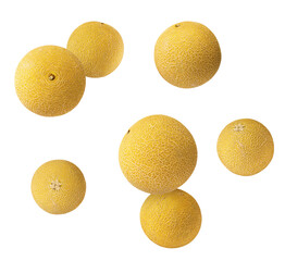 Fresh ripe Galia Melon falling in the air isolated on white background